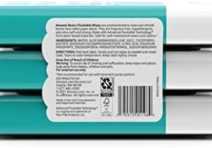 Amazon Basics Flushable Adult Toilet Wipes, Fragrance Free, 126 Count (3 Packs of 42) Packaging May Vary