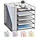 LEKETREE Desk Organizers and Accessories, 5-Tier Paper Letter Tray Organizer with File Holder, Desktop Organizer for Office Supplies, Office Desk Accessories & Workspace (Black)  Office Products