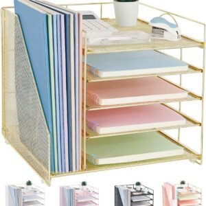 LEKETREE Desk Organizers and Accessories, 5-Tier Paper Letter Tray Organizer with File Holder, Desktop Organizer for Office Supplies, Office Desk Accessories & Workspace (Black)  Office Products
